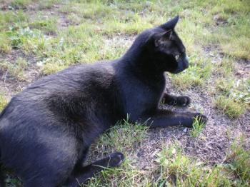 Rodolfo Bild von Rodolfo