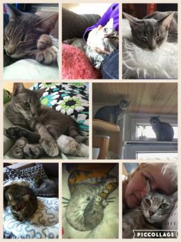 Sookie Bild von Sookie