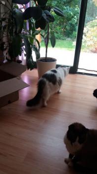 Buddy Bild von Buddy