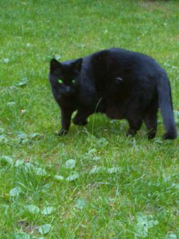 Bild von Lilith