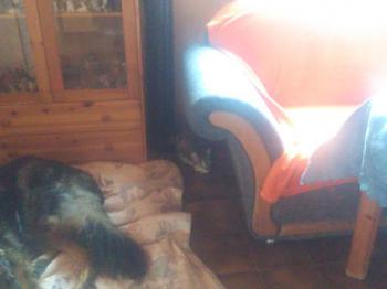 Dora Bild von Dora