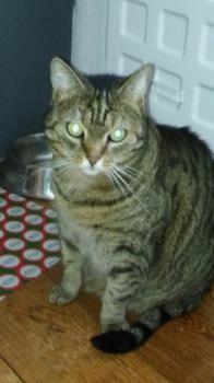 Rasty Bild von Rasty