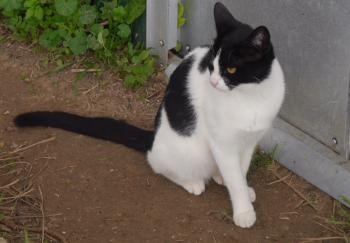 Bia Bild von Bia