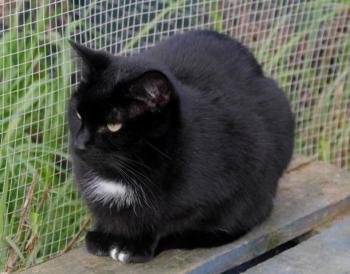 Sally Bild von Sally
