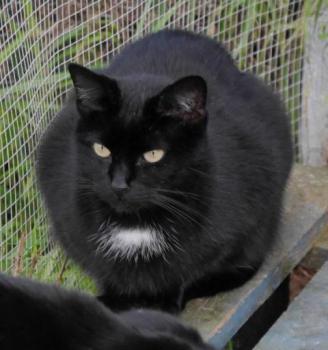 Sally Bild von Sally