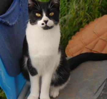 Bascha Bild von Bascha