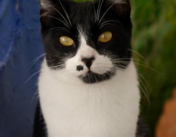 Bascha Bild von Bascha