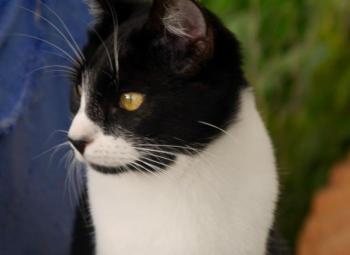Bascha Bild von Bascha