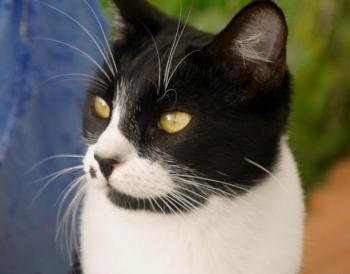 Bascha Bild von Bascha