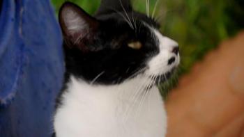 Bascha Bild von Bascha