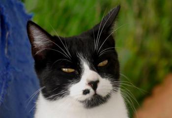 Bascha Bild von Bascha