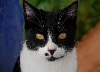 Bascha Bild von Bascha