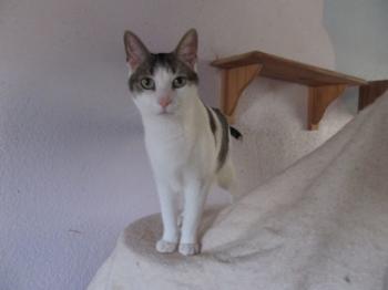 Reed Bild von Reed