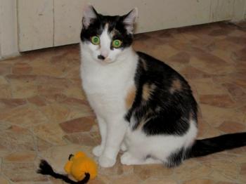Fienchen Bild von Fienchen