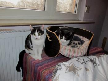 Fienchen Bild von Fienchen