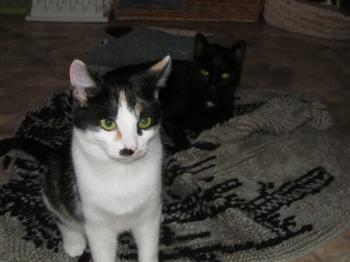 Fienchen Bild von Fienchen