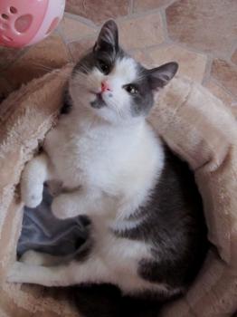 Jacky Bild von Jacky