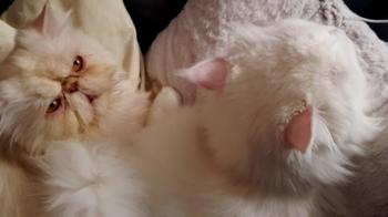 Pumuckl Bild von Pumuckl