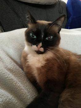 Gina Bild von Gina