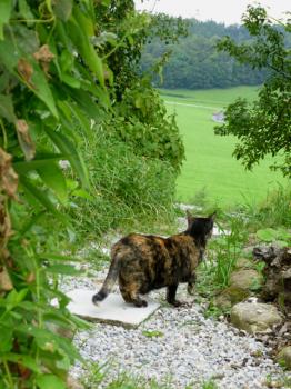 Rosalind Bild von Rosalind