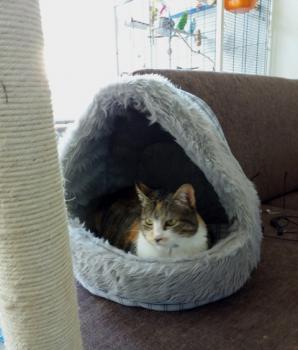 Arizona Baby Bild von Arizona Baby