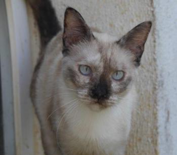 Bild von Mandy
