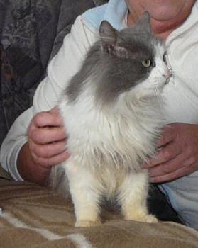Ramon Bild von Zeus