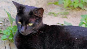 Thabo Bild von Thabo