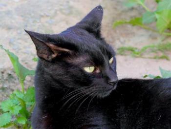 Thabo Bild von Thabo