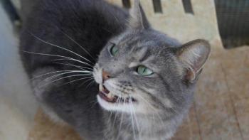 Pablo Bild von Pablo