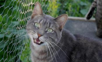 Pablo Bild von Pablo