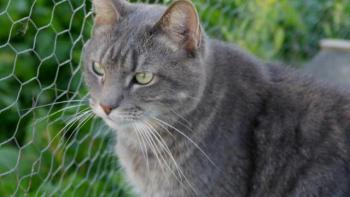 Pablo Bild von Pablo