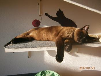 Biberoni Bild von Biberoni