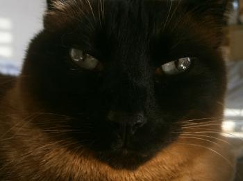 Biberoni Bild von Biberoni