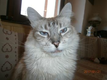Sammy Bild von Sammy