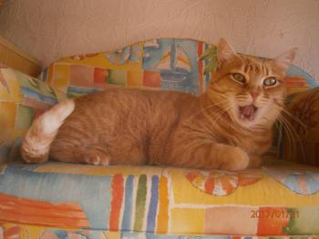 Nena Bild von Nena