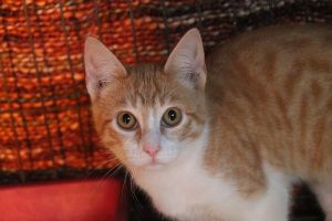 Richard Bild von Richard