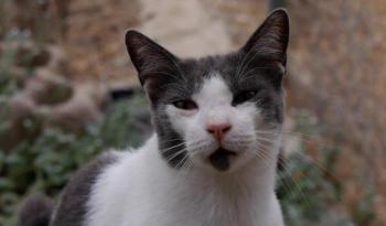 Michael Bild von Michael