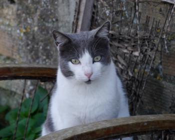 Michael Bild von Michael