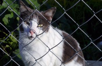 Michael Bild von Michael