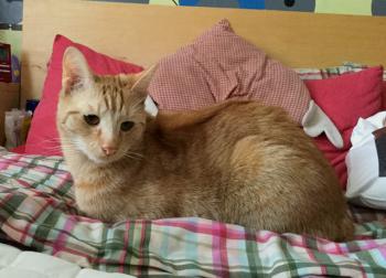 Kenny Bild von Kenny