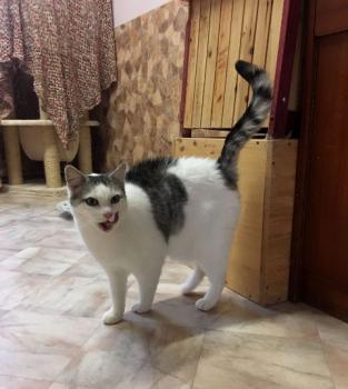 Fienchen Bild von Fienchen
