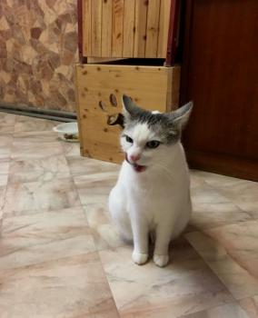 Fienchen Bild von Fienchen