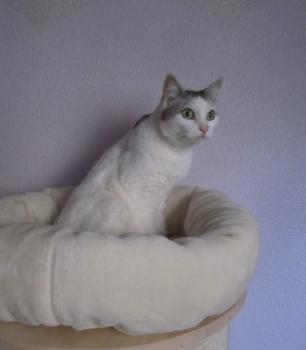 Fienchen Bild von Fienchen