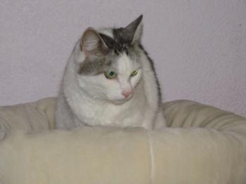 Fienchen Bild von Fienchen