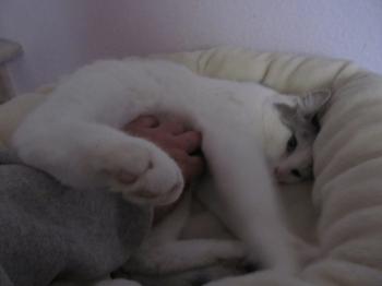 Fienchen Bild von Fienchen