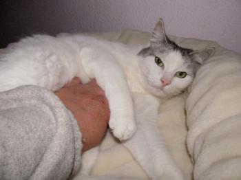 Fienchen Bild von Fienchen