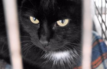 Sally Bild von Sally