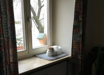 Lutessa Bild von Lutessa