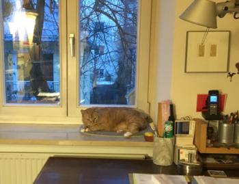 Bild von Mabel
